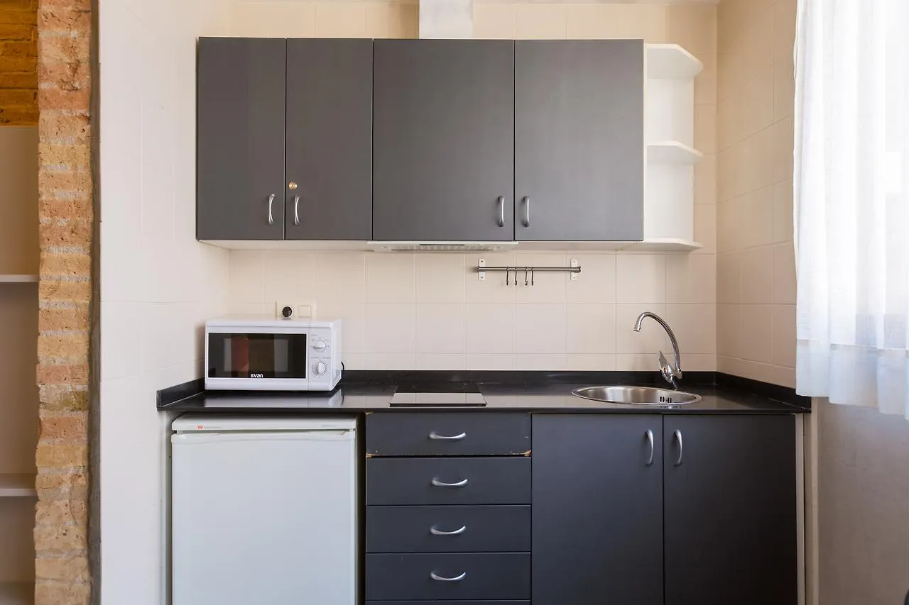 Apartamentos Dv Barcelona 0*,
